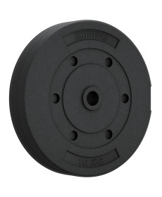 Диск бітумний Zipro 10 кг