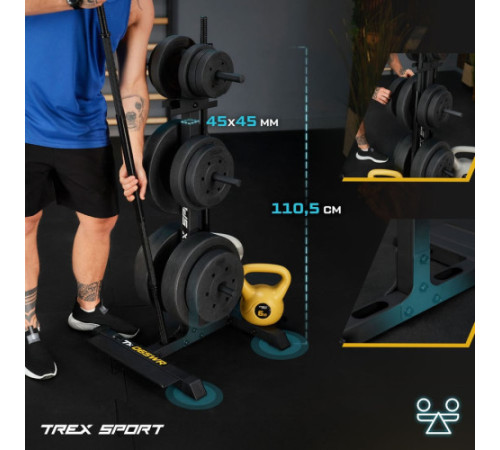 Стійка для дисків та грифів Trex Sport TX-065WR