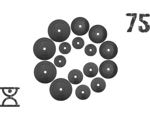 Набір 75 кг RN Sport (4 по 10, 4 по 5, 4 по 2.5, 4 по 1.25) блинов на штангу покрытых пластиком (31 мм)