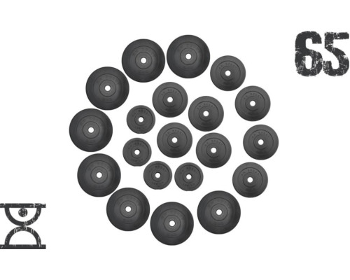 Набір 65 кг (4 по 1.25, 8 по 2.5, 8 по 5 кг) дисків, RN Sport покритих пластиком (31 мм)