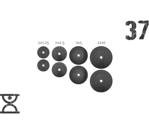 Набір 37 кг (2х1.25, 2х2.5, 2x5 та 2x10) дисків, покритих пластиком (31 мм)