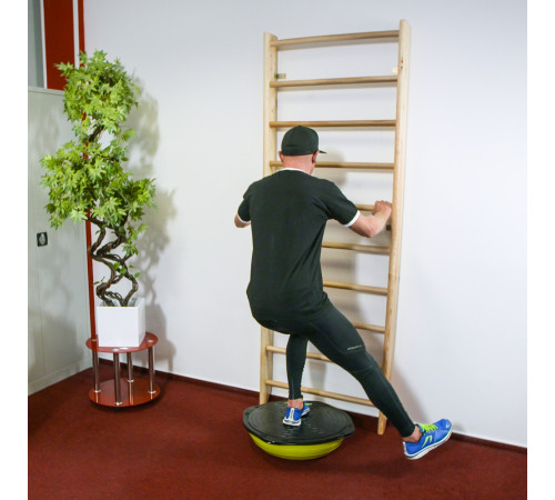 Шведська стіна inSPORTline Steadyline 220 х 80 см Шведська стіна inSPORTline Steadyline 220 х 80 см