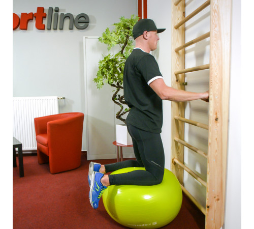 Шведська стіна inSPORTline Steadyline 220 х 80 см Шведська стіна inSPORTline Steadyline 220 х 80 см