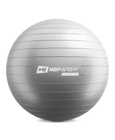 Фітбол Hop-Sport 65 см сріблястий + насос