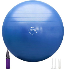 М'яч для фітнесу WCG 65 Anti-Burst 300 кг синій + насос