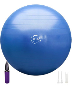 М'яч для фітнесу WCG 65 Anti-Burst 300 кг синій + насос