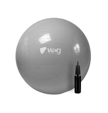 М'яч для фітнесу WCG 75 Anti-Burst 250 кг сірий + насос 