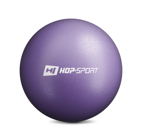 Фітбол Hop-Sport 25 cм фіолетовий Фітбол Hop-Sport 25 cм фіолетовий