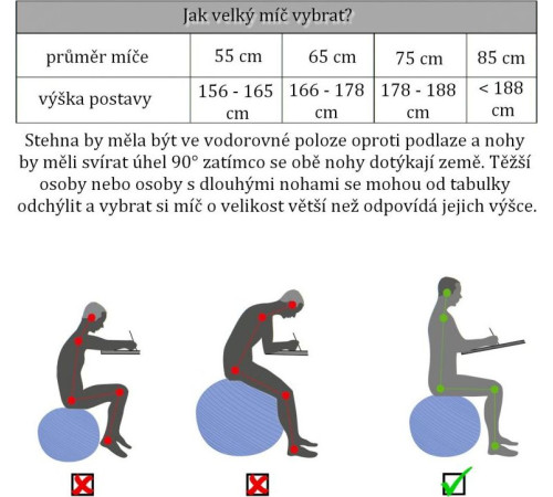 Гімнастичний м'яч з насосом MXSTP Movit 75cm - рожевий