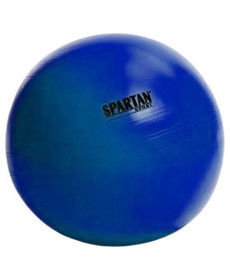 М'яч гімнастичний SPARTAN 55 см Blue