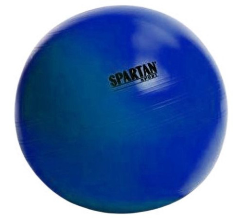 М'яч гімнастичний SPARTAN 55 см Blue