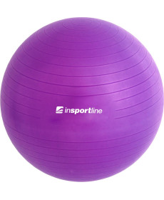 Гімнастичний м'яч inSPORTline Top Ball 65 cm  (3910-4) - фіолетовий 