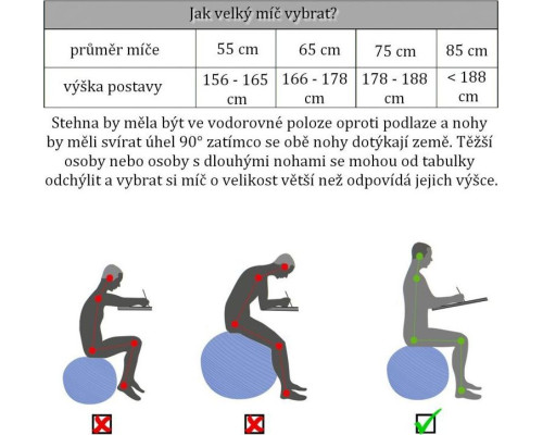 М'яч Movit гімнастичний з насосом, 65 см, синій