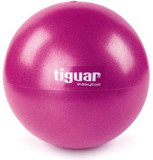 Гімнастичний м'яч Tiguar Easyball 25cm - фіолетовий 