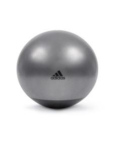 М'яч гімнастичний 65 см Adidas ADBL-14246GR сірий