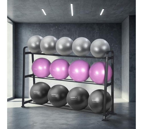 Стійка для гімнастичних м'ячів HMS STR43