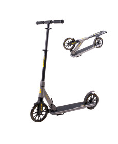 Самокат inSPORTline Wayotan сірий