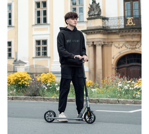 Самокат inSPORTline Wayotan сірий