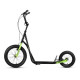 Самокат NILS EXTREME WH10201, чорно-зелений