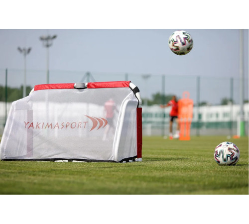Сітка для воріт Yakimasport Academy 120 x 80 см, біла