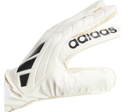 Рукавички воротарські Adidas Copa Club IQ4016 р. 10,5, бежеві
