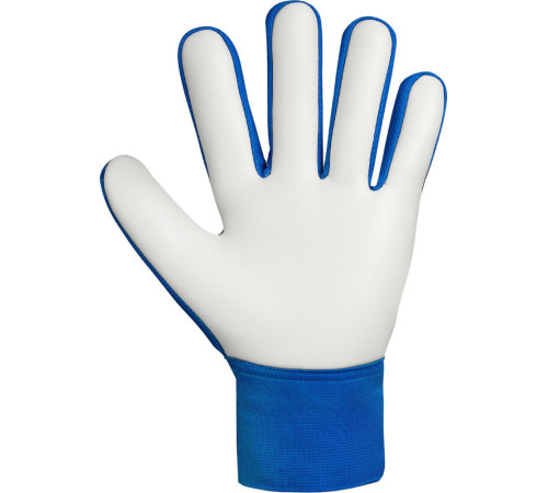 Рукавички воротарські Reusch Attrakt Starter Solid Junior 5572514 4467 р.5,5, синьо-чорні Рукавички воротарські Reusch Attrakt Starter Solid Junior 5572514 4467 р.5,5, синьо-чорні