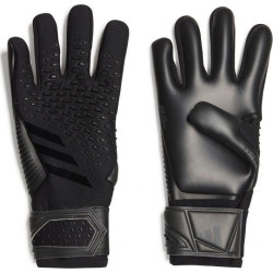 Рукавички воротарські Adidas Predator Competition HY4074 р. 10, чорні