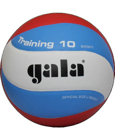 М'яч волейбольний Gala Training 10, розмір 5