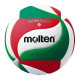 М'яч волейбольний Molten, розмір 5