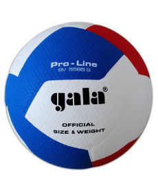 М'яч волейбольний Gala Pro-Line 12, різнокольоровий