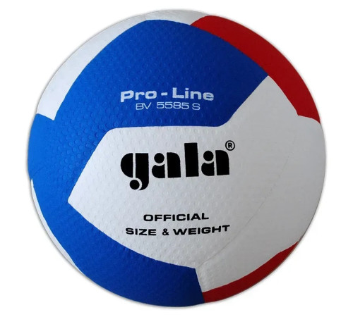 М'яч волейбольний Gala Pro-Line 12, різнокольоровий