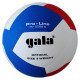 М'яч волейбольний Gala Pro-Line 12, різнокольоровий