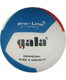 М'яч волейбольний Gala Pro-Line 12 FIVB розмір 5, різнокольоровий