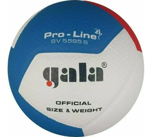 М'яч волейбольний Gala Pro-Line 12 FIVB розмір 5, різнокольоровий