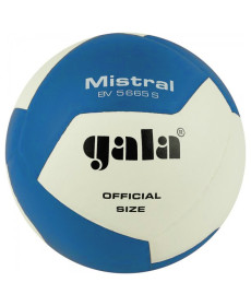 М'яч волейбольний Gala Mistral BV5665S