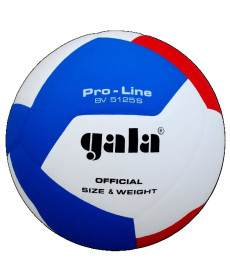 М'яч волейбольний Gala Pro-Line, розмір 5