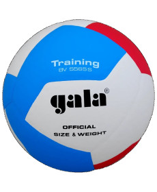 М'яч волейбольний Gala Training розмір 5, різнокольоровий