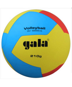 М'яч волейбольний Gala Training BV5555S 210 г