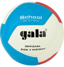 М'яч волейбольний Gala School 12 BV5715S, розмір 5