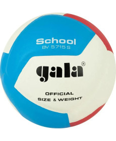М'яч волейбольний Gala School 12 BV5715S, розмір 5