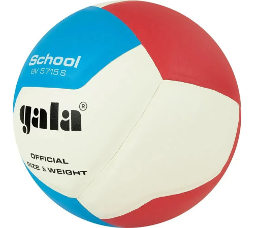 М'яч волейбольний Gala School 12 BV5715S, розмір 5
