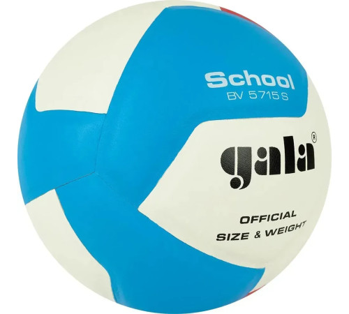 М'яч волейбольний Gala School 12 BV5715S, розмір 5