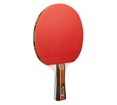 Набір для настільного тенісу Joola Family Advanced 4 Bats 6 Balls (54823) Набір для настільного тенісу Joola Family Advanced 4 Bats 6 Balls (54823)