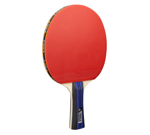 Набір для настільного тенісу Joola Family Advanced 4 Bats 6 Balls (54823) Набір для настільного тенісу Joola Family Advanced 4 Bats 6 Balls (54823)