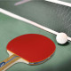 Набір для настільного тенісу Gewo Rave Speed 2 Bats 3 Balls (86080000)