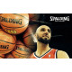 М'яч баскетбольний SPALDING TF500 Excel 7