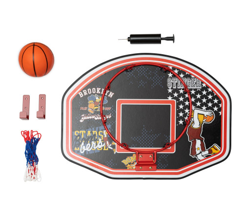 Баскетбольний щит SPARTAN 60 x 44 см Баскетбольний щит SPARTAN 60 x 44 см