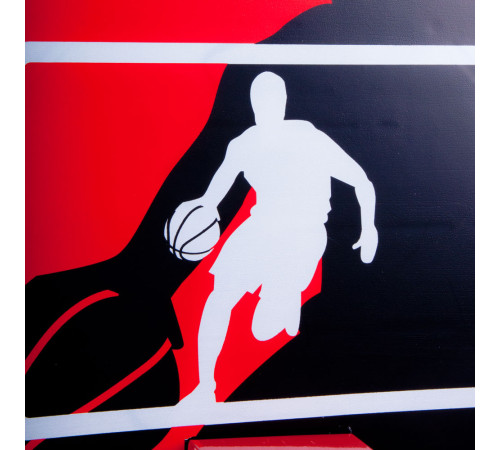 Баскетбольний кошик inSPORTline Boston