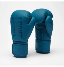Рукавички боксерські Leone GN058 TONE X розмір 10 унцій, синьо-зелені