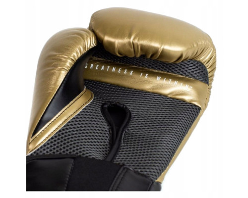 Боксерські рукавички EVERLAST Elite Gold 12 унцій